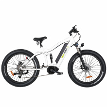 China Middle Drive Electric Mountain Bicycle with Fat Tire
